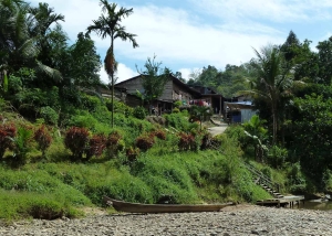 Batang Ai, Sarawak - Borneo reizen - Puur Azië