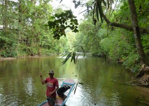 Boot regenwoud Sarawak - individuele rondreis Maleisië - Puur Azië