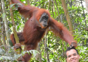 Bukit Lawang - individuele rondreis Sumatra - Puur Azië