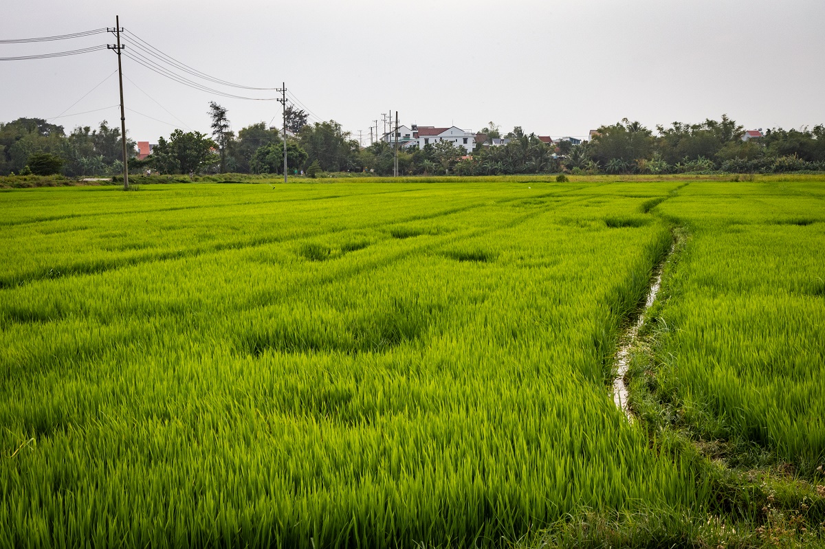Gastblog rondreis Centraal Vietnam met Puur Azië 8