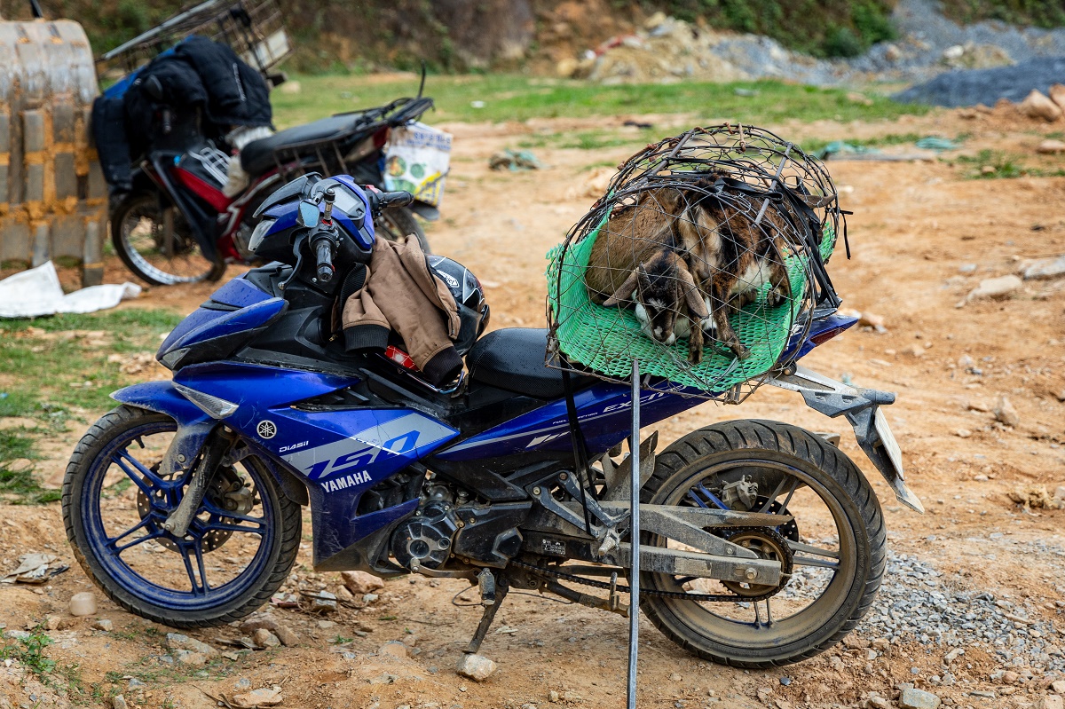 Gastblog rondreis Noord Vietnam met Puur Azië 25