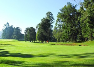 Nuwara Eliya Golf Club - individuele rondreis en golfvakantie Sri Lanka - Puur Azië