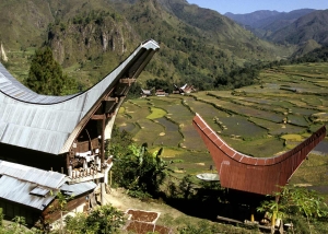 Torajaland - individuele rondreis Sulawesi - Indonesië - Puur Azië