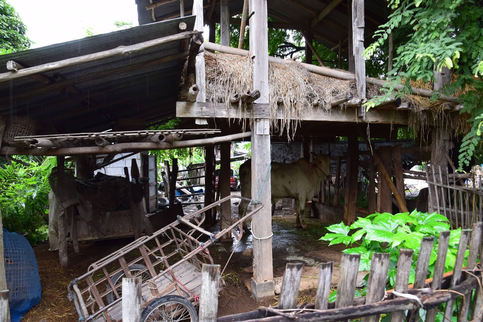 Pong Huai Lan Local Community - rondreis Thailand & Laos - Puur Azië