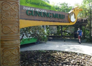 Gunung Mulu, Sarawak - rondreizen Borneo - Puur Azië