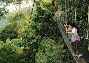 Taman negara - Maleisië reizen - Puur Azië