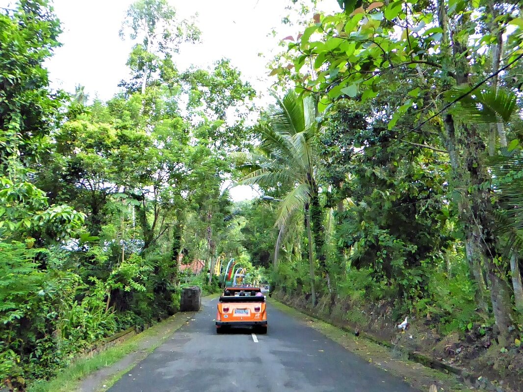Volkswagen safari Ubud - Bali - individuele rondreis Indonesië - Puur Azië